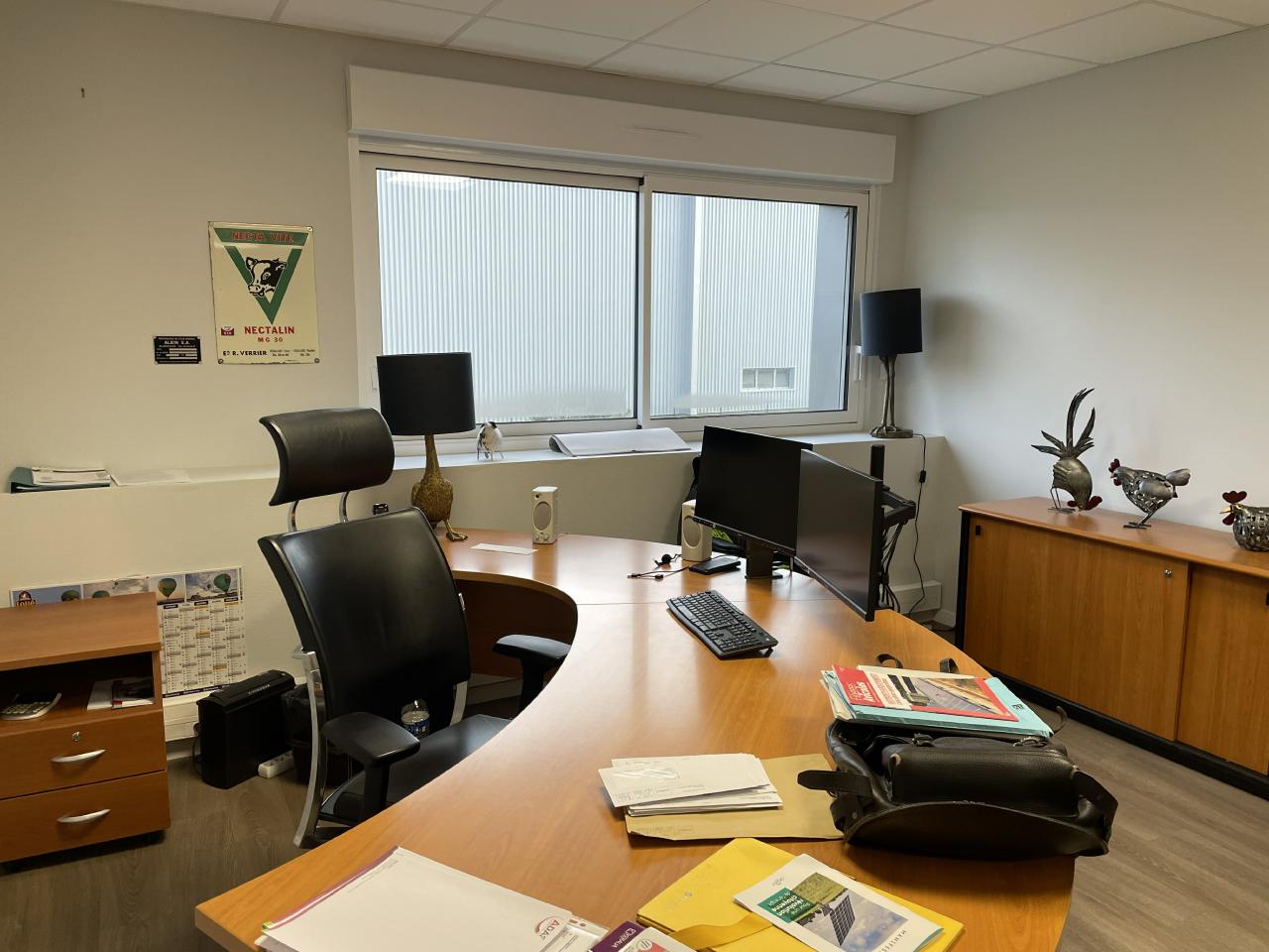 Local d'activité Maen Roch 1521m² Vente local d'activité Maen Roch Ille-et-Vilaine OVACT2317865 6